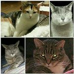Jenny Beatty - @jenbeatty31 - Instagram