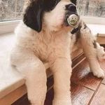 Jen Jen - @jennybeaudrychretien - Instagram