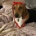 Jen Begert - Facebook