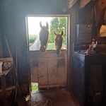 Jenny Behr - @jenny.behr.12 - Instagram