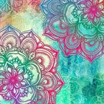 Jenny Behrens - @jennybehrensm - Instagram