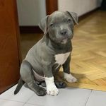 Jenny Bejarano - @jenny_bejarano0224 - Instagram