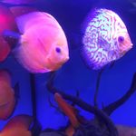 Jenny Belcher - @jenny.belcher.5682 - Instagram