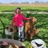 Jenny Benjamin Ballinger - @jenny.benjamin.ba - TikTok