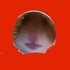 Jenny Bergman - @jennybergman79 - TikTok