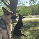 Jenny Cowley Berkheimer - @jennyberkheimer - Instagram