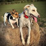 Jenny Bingham - @jenny.bingham.313 - Instagram
