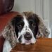 Jenny Bingham - Facebook