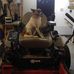 Jennifer Bowles - Facebook