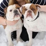 Jenny Bowles - @gotchaoeb - Instagram
