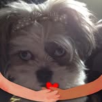 Jenny Bray - @jennylovespurple - Instagram