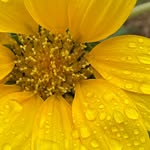 Jenny Bray - @benjen1966 - Instagram