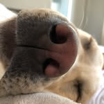 Jenny Brobeck - @jenbrobeck - Instagram