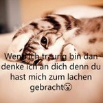 Jenny Brunner - @jennybrunner2002 - Instagram