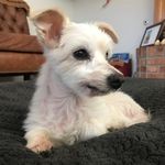 Jenny Buckner - @buckmylife79 - Instagram