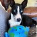 Jenny Buckner - Facebook