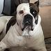 Jenny Burnside - Facebook