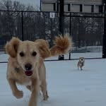 Jennifer L. Butts - @jennybutts74 - Instagram