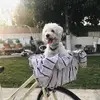 Jenny Cabral - @jenny.cabral4 - TikTok