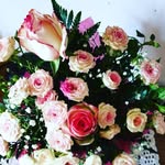 Jenny - @jenny.cerasoli62 - Instagram