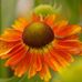 Jen Challis - Facebook