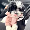 jennychiang486 - @bodhithetoypoodle - TikTok