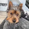 Jenny - @jenny.cohen5 - TikTok
