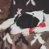 cokerjenny - @cokerjenny - TikTok