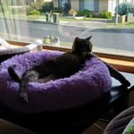 Jenny Compton - @pounce62 - Instagram