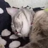 Jenny Conde - @jenny.conde6 - TikTok
