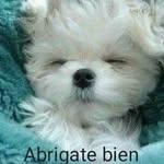 Jenny Corrales - @jenny.corrales.7509 - Instagram
