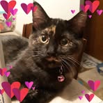 Jenny Dodd - Facebook