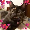 Jenny Dodd - @jenny.dodd - TikTok