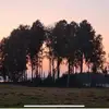 jendo - @jennydonovan01 - TikTok