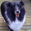 Jenny Donovan - @jenny.donovan8 - TikTok