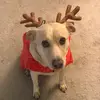 jennydumas820 - @jennydumas820 - TikTok