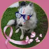 Jenny Dupre - @jenny.dupre2 - TikTok