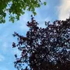jennytroverdupre - @jennytroverdupre - TikTok