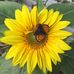Jenny Earle - Facebook
