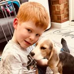 Jenny Eden - @aster_evie_bluebeagles - Instagram
