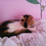 Jenny - @jennyelbert01 - Instagram