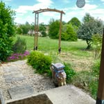 Jennifer Finney - @myfr_enchgarden - Instagram