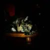 Jenny Fish - @jenny.fish7 - TikTok