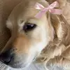 Jenna Fredrickson - @jenna.spammm88 - TikTok
