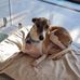 Jenny Fuller - Facebook