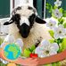 Jenny Grover - Facebook