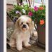 Jenny Gerber - Facebook