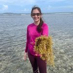 Jenny Gil  ~Alga Lover 🪸 - @jennyalgae - Instagram