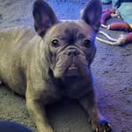 Jenny Hackett - @jennyhackett882019 - Instagram