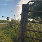 Jenny Grimstad Hager - @jennyannehager - Instagram